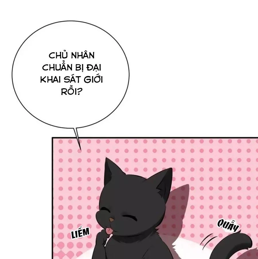 Tuyệt Thế Thần Y: Phúc Hắc Đại Tiểu Thư Chapter 29 - 41