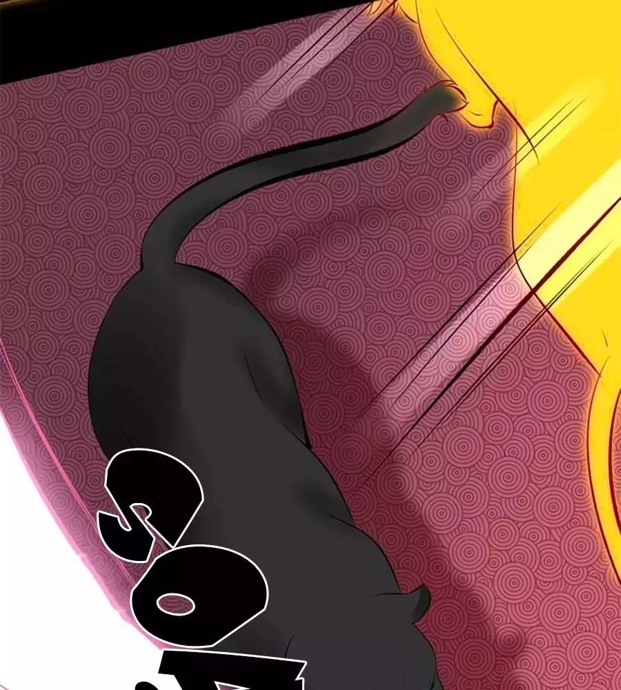 Tuyệt Thế Thần Y: Phúc Hắc Đại Tiểu Thư Chapter 31 - 37