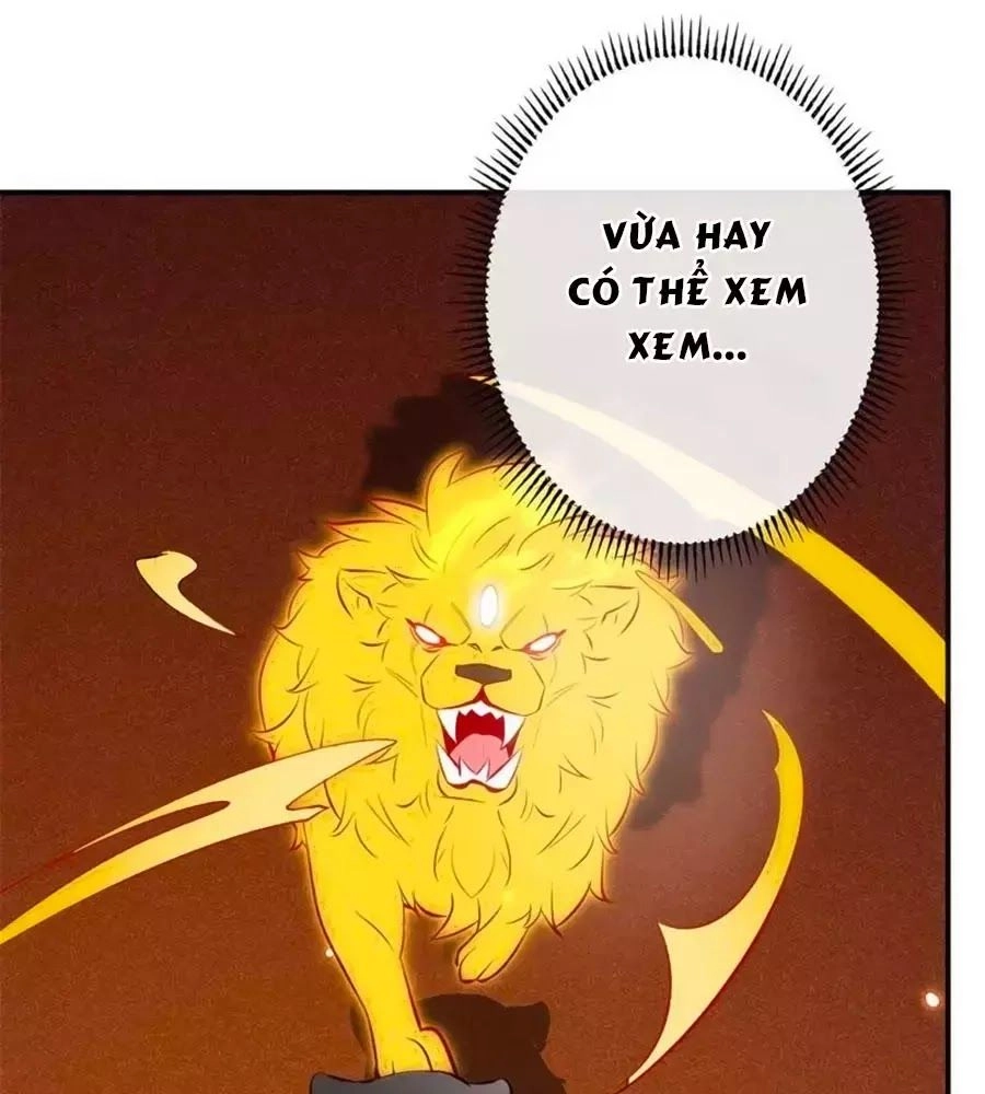 Tuyệt Thế Thần Y: Phúc Hắc Đại Tiểu Thư Chapter 31 - 47