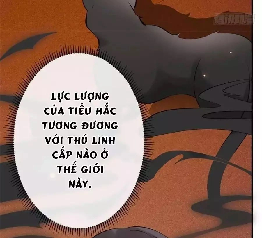 Tuyệt Thế Thần Y: Phúc Hắc Đại Tiểu Thư Chapter 31 - 48