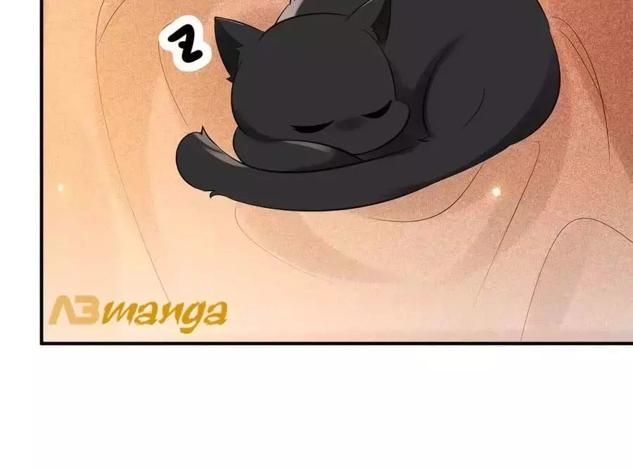 Tuyệt Thế Thần Y: Phúc Hắc Đại Tiểu Thư Chapter 32 - 47