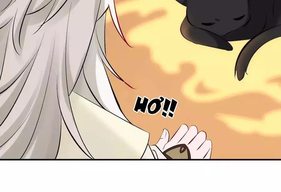 Tuyệt Thế Thần Y: Phúc Hắc Đại Tiểu Thư Chapter 32 - 73