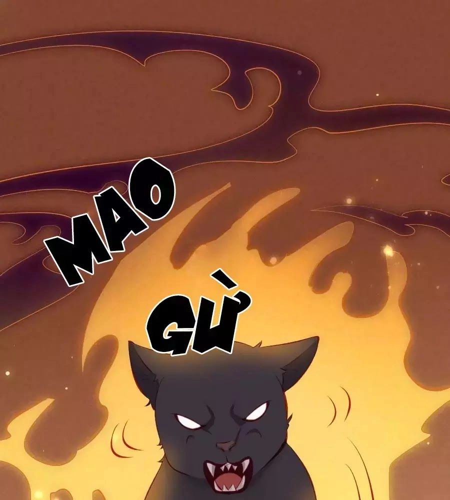 Tuyệt Thế Thần Y: Phúc Hắc Đại Tiểu Thư Chapter 33 - 1