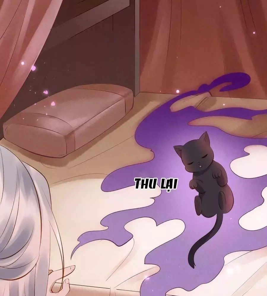 Tuyệt Thế Thần Y: Phúc Hắc Đại Tiểu Thư Chapter 33 - 8