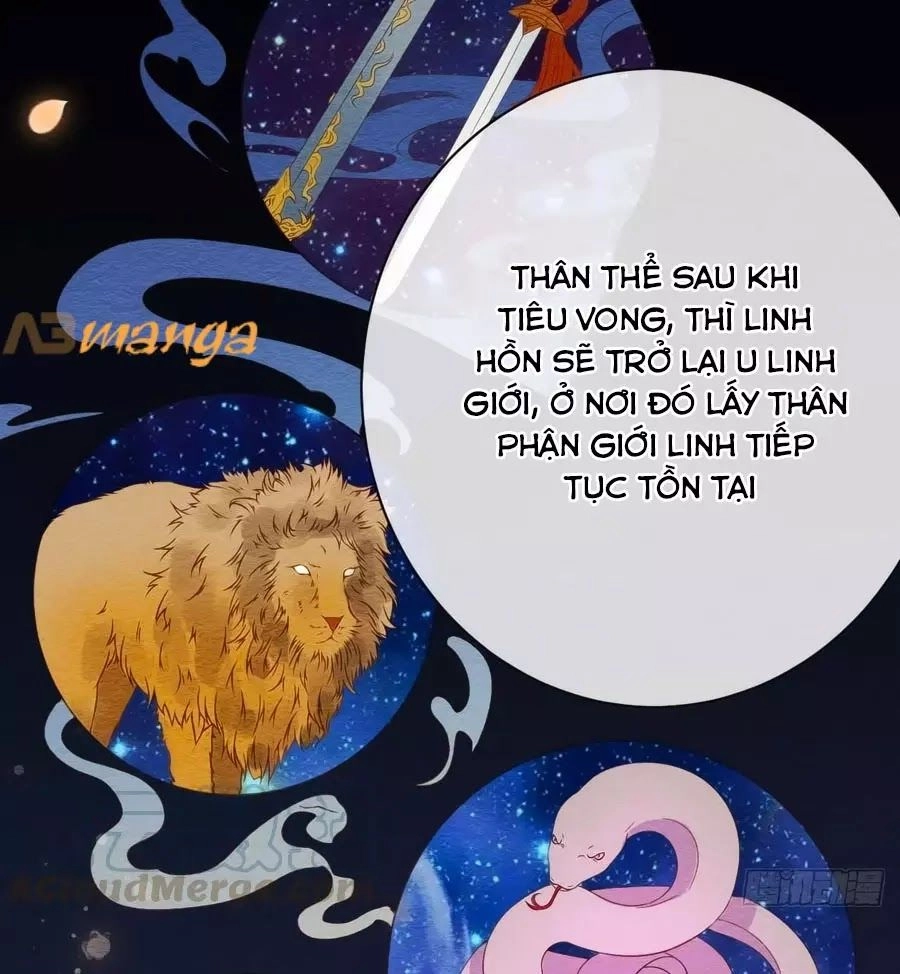 Tuyệt Thế Thần Y: Phúc Hắc Đại Tiểu Thư Chapter 33 - 41