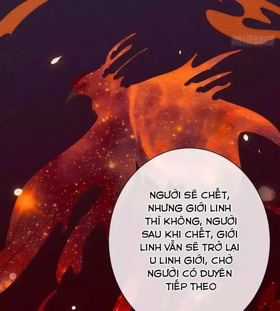 Tuyệt Thế Thần Y: Phúc Hắc Đại Tiểu Thư Chapter 33 - 44