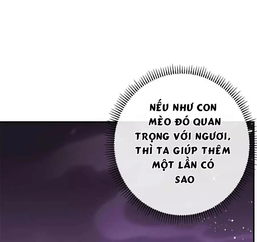 Tuyệt Thế Thần Y: Phúc Hắc Đại Tiểu Thư Chapter 34 - 44