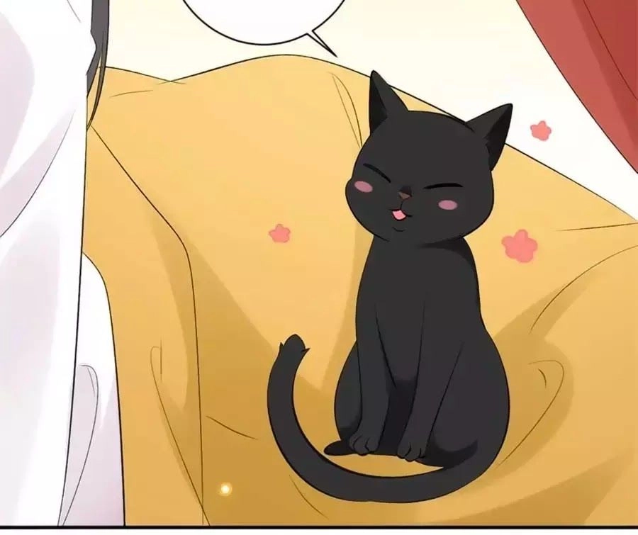 Tuyệt Thế Thần Y: Phúc Hắc Đại Tiểu Thư Chapter 34 - 62