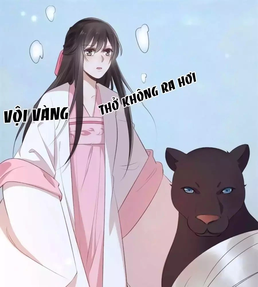 Tuyệt Thế Thần Y: Phúc Hắc Đại Tiểu Thư Chapter 39 - 52