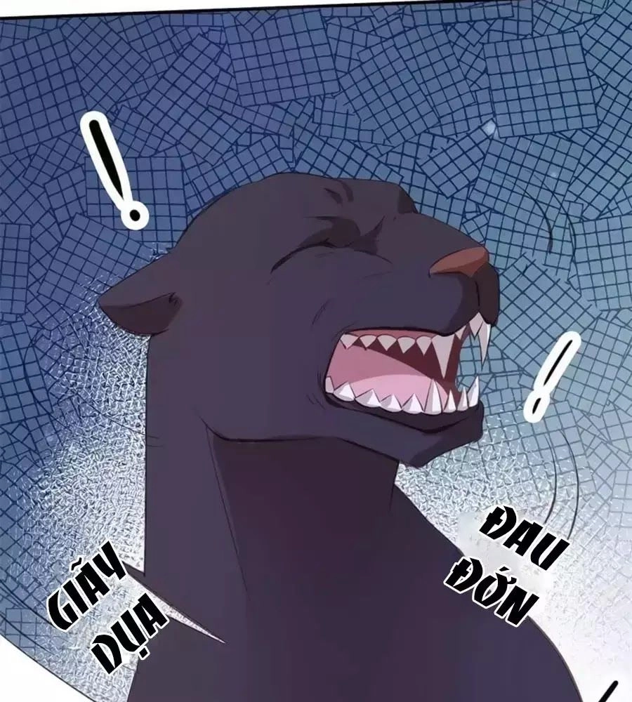 Tuyệt Thế Thần Y: Phúc Hắc Đại Tiểu Thư Chapter 39 - 99