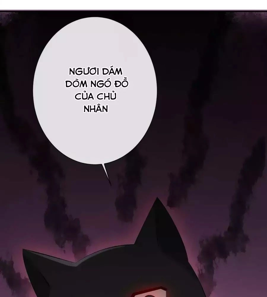 Tuyệt Thế Thần Y: Phúc Hắc Đại Tiểu Thư Chapter 40 - 10