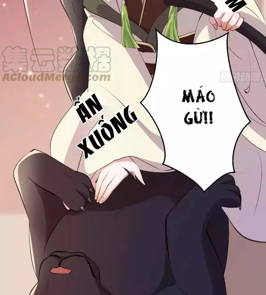 Tuyệt Thế Thần Y: Phúc Hắc Đại Tiểu Thư Chapter 41 - 85