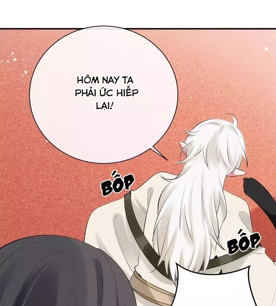 Tuyệt Thế Thần Y: Phúc Hắc Đại Tiểu Thư Chapter 42 - 1