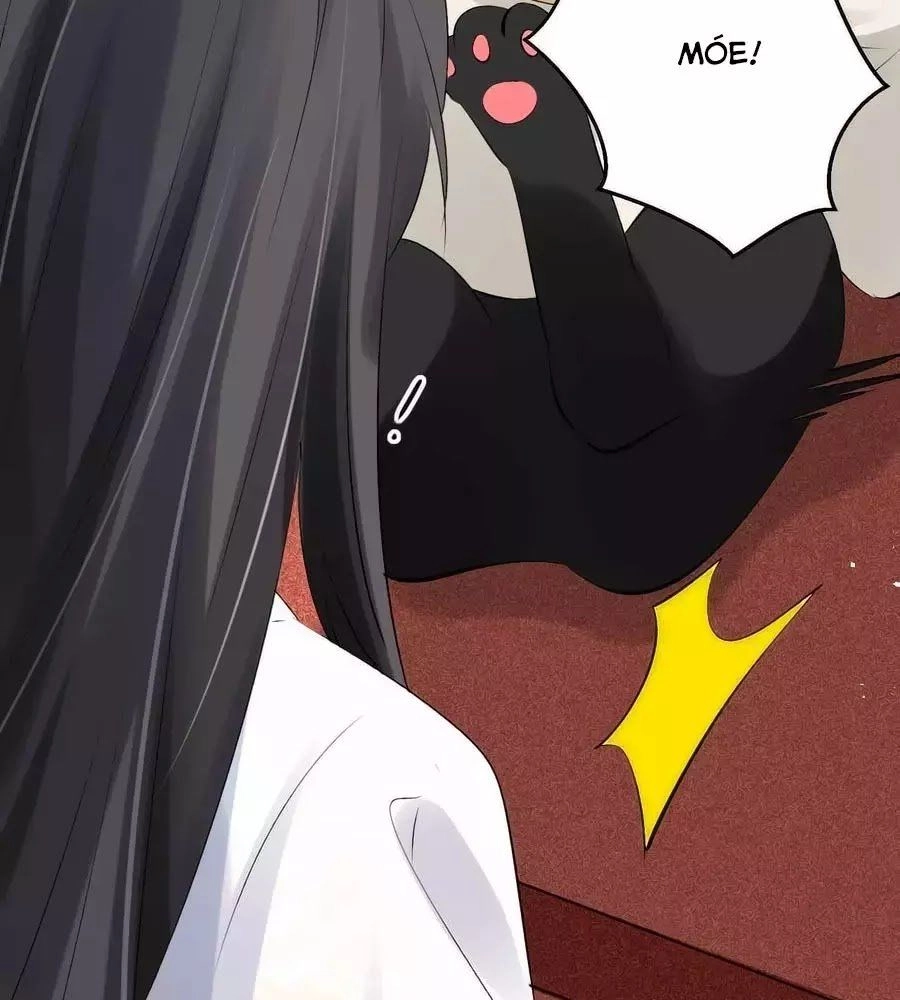 Tuyệt Thế Thần Y: Phúc Hắc Đại Tiểu Thư Chapter 42 - 2