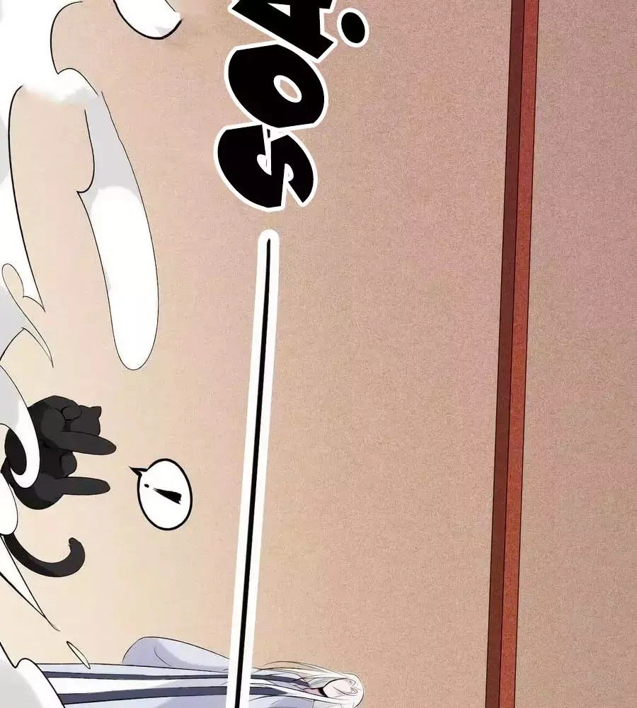 Tuyệt Thế Thần Y: Phúc Hắc Đại Tiểu Thư Chapter 42 - 24