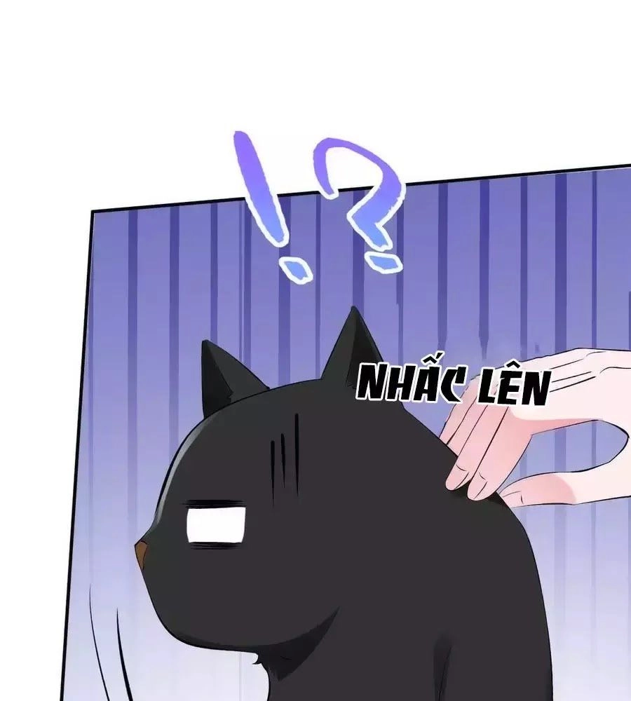 Tuyệt Thế Thần Y: Phúc Hắc Đại Tiểu Thư Chapter 42 - 42