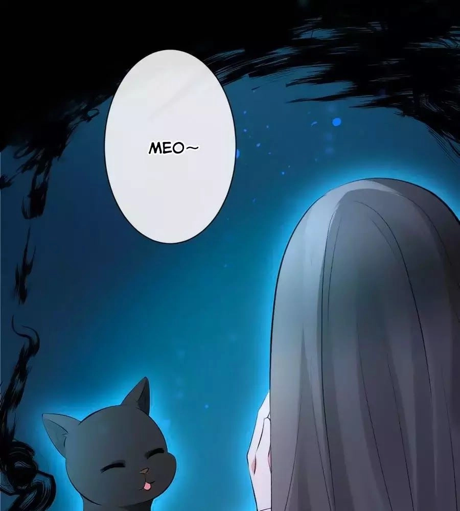 Tuyệt Thế Thần Y: Phúc Hắc Đại Tiểu Thư Chapter 44 - 52