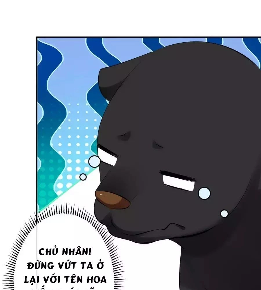 Tuyệt Thế Thần Y: Phúc Hắc Đại Tiểu Thư Chapter 46 - 116