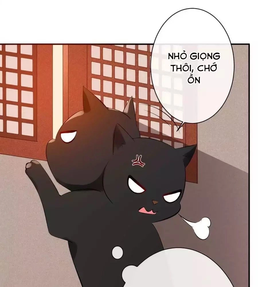 Tuyệt Thế Thần Y: Phúc Hắc Đại Tiểu Thư Chapter 50 - 84