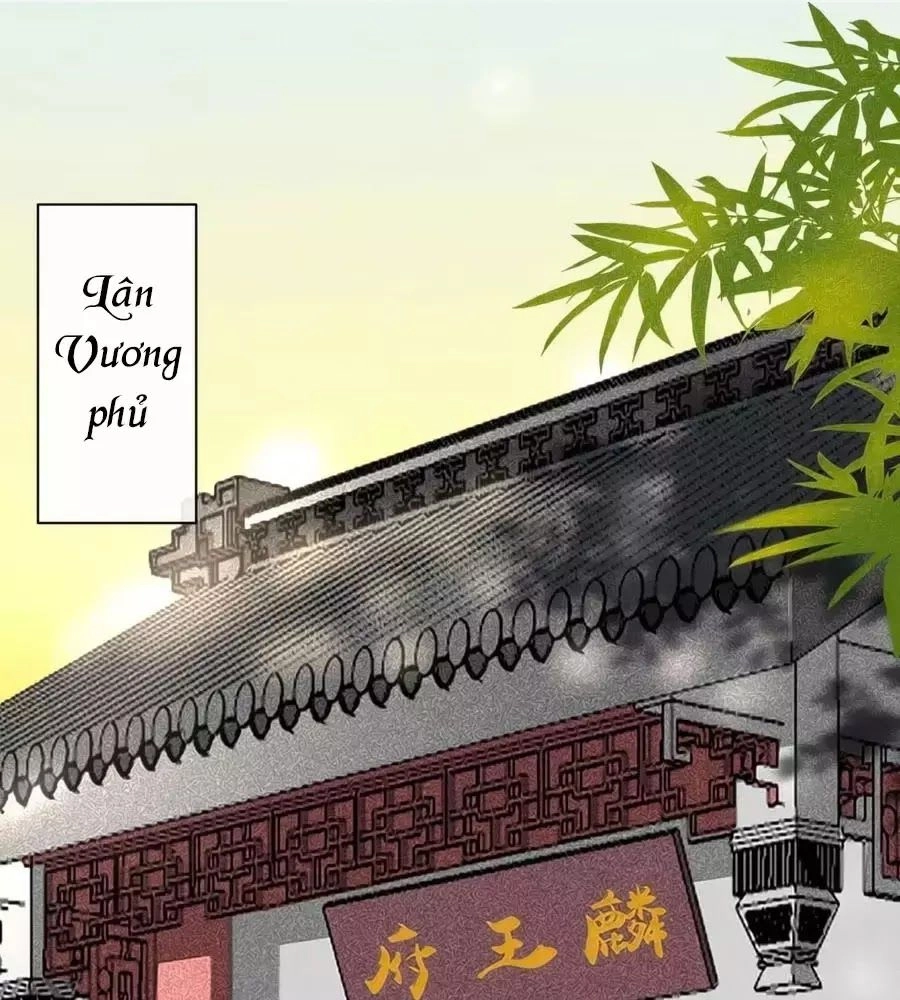 Tuyệt Thế Thần Y: Phúc Hắc Đại Tiểu Thư Chapter 51 - 1