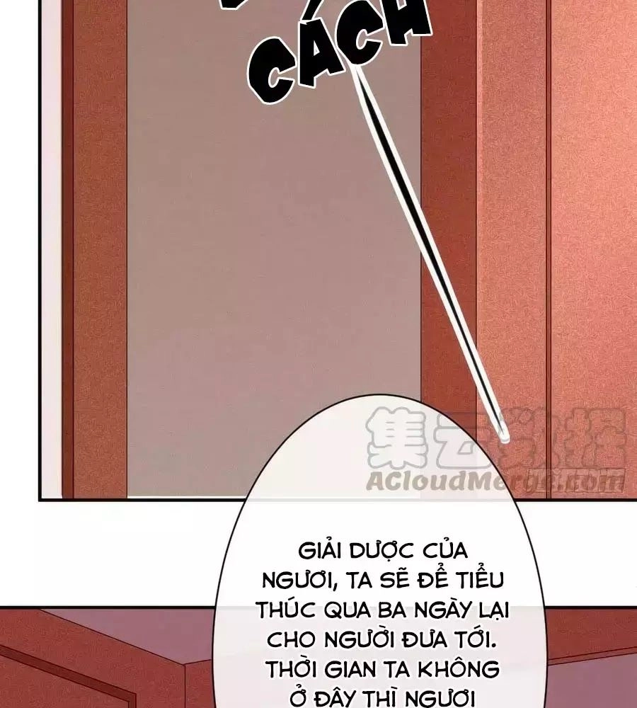 Tuyệt Thế Thần Y: Phúc Hắc Đại Tiểu Thư Chapter 51 - 31