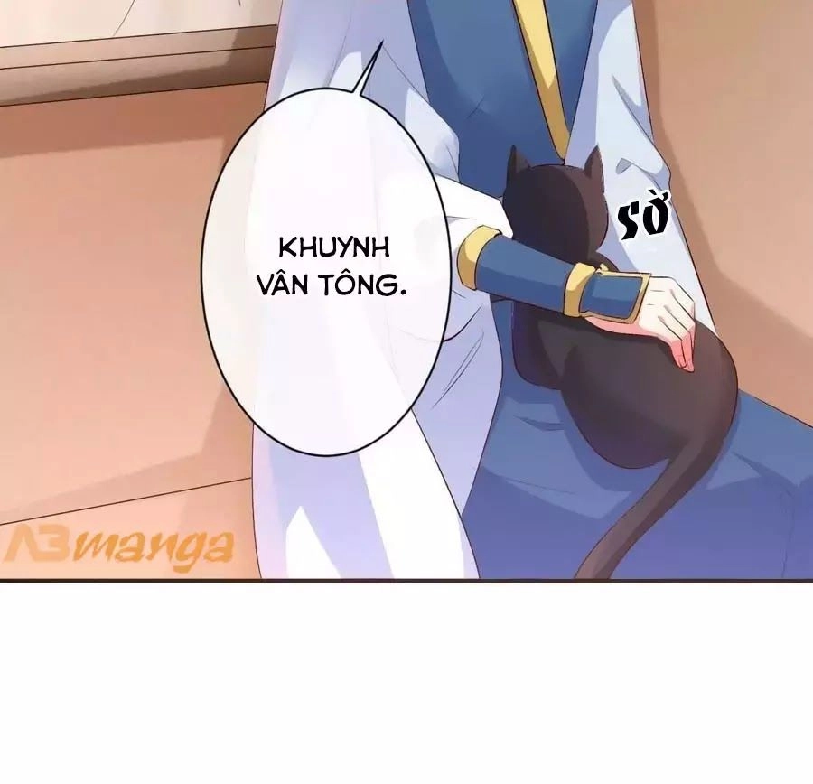 Tuyệt Thế Thần Y: Phúc Hắc Đại Tiểu Thư Chapter 52 - 65