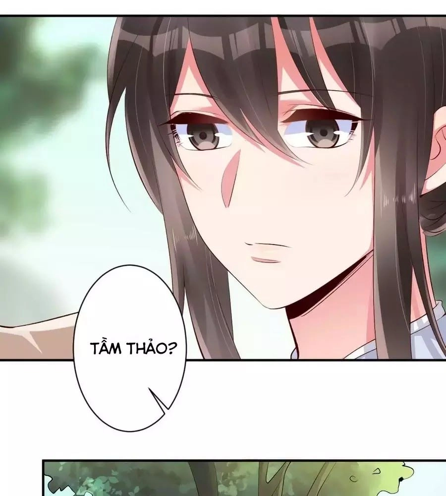 Tuyệt Thế Thần Y: Phúc Hắc Đại Tiểu Thư Chapter 53 - 29