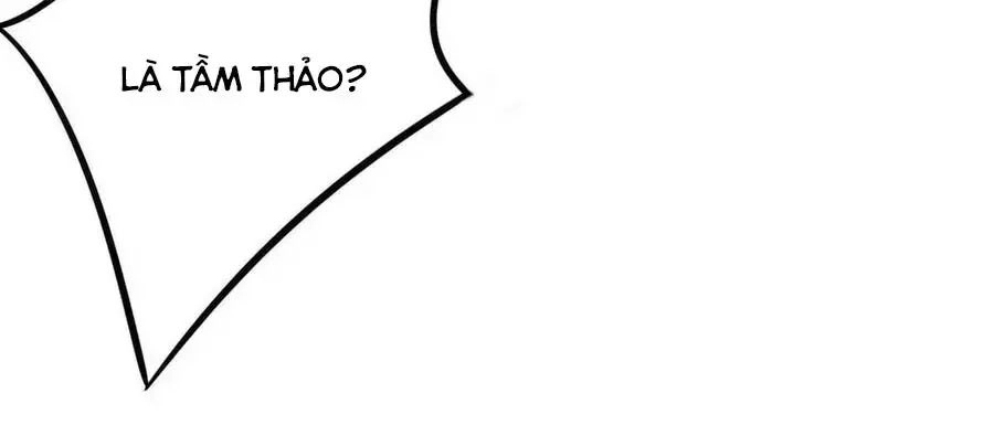 Tuyệt Thế Thần Y: Phúc Hắc Đại Tiểu Thư Chapter 53 - 40