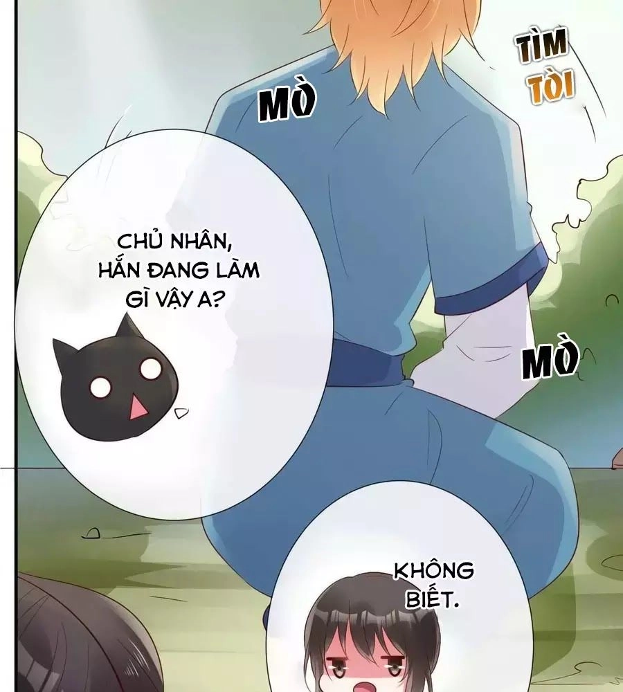 Tuyệt Thế Thần Y: Phúc Hắc Đại Tiểu Thư Chapter 53 - 71