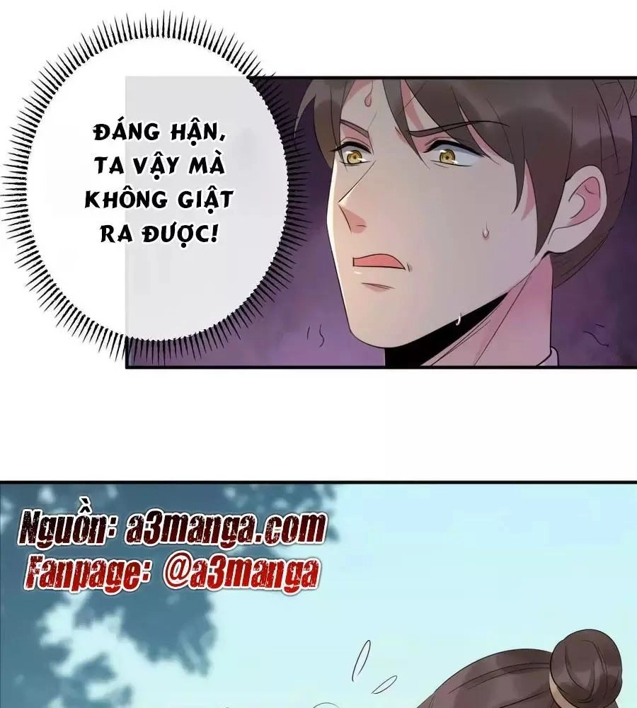 Tuyệt Thế Thần Y: Phúc Hắc Đại Tiểu Thư Chapter 56 - 1