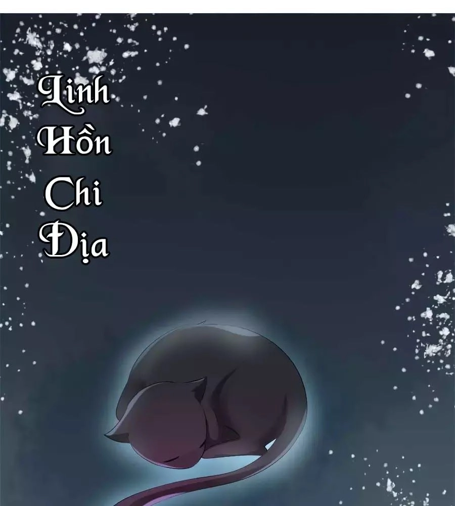 Tuyệt Thế Thần Y: Phúc Hắc Đại Tiểu Thư Chapter 57 - 17