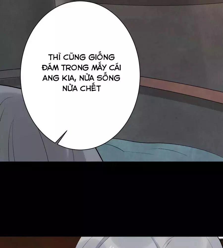 Tuyệt Thế Thần Y: Phúc Hắc Đại Tiểu Thư Chapter 59 - 81