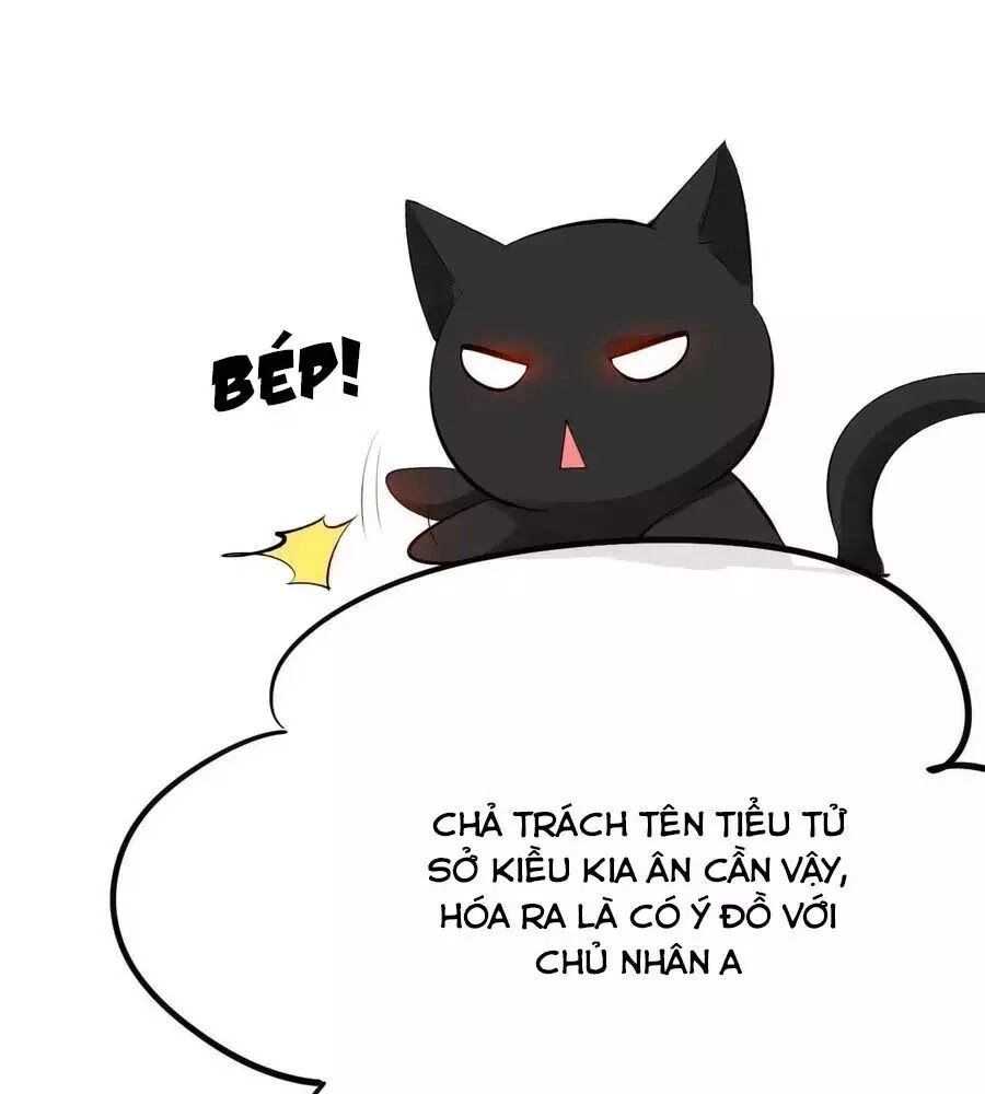 Tuyệt Thế Thần Y: Phúc Hắc Đại Tiểu Thư Chapter 60 - 16