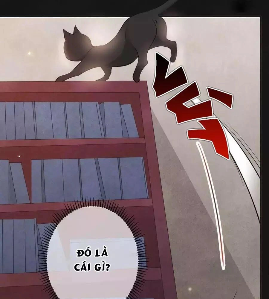 Tuyệt Thế Thần Y: Phúc Hắc Đại Tiểu Thư Chapter 63 - 32