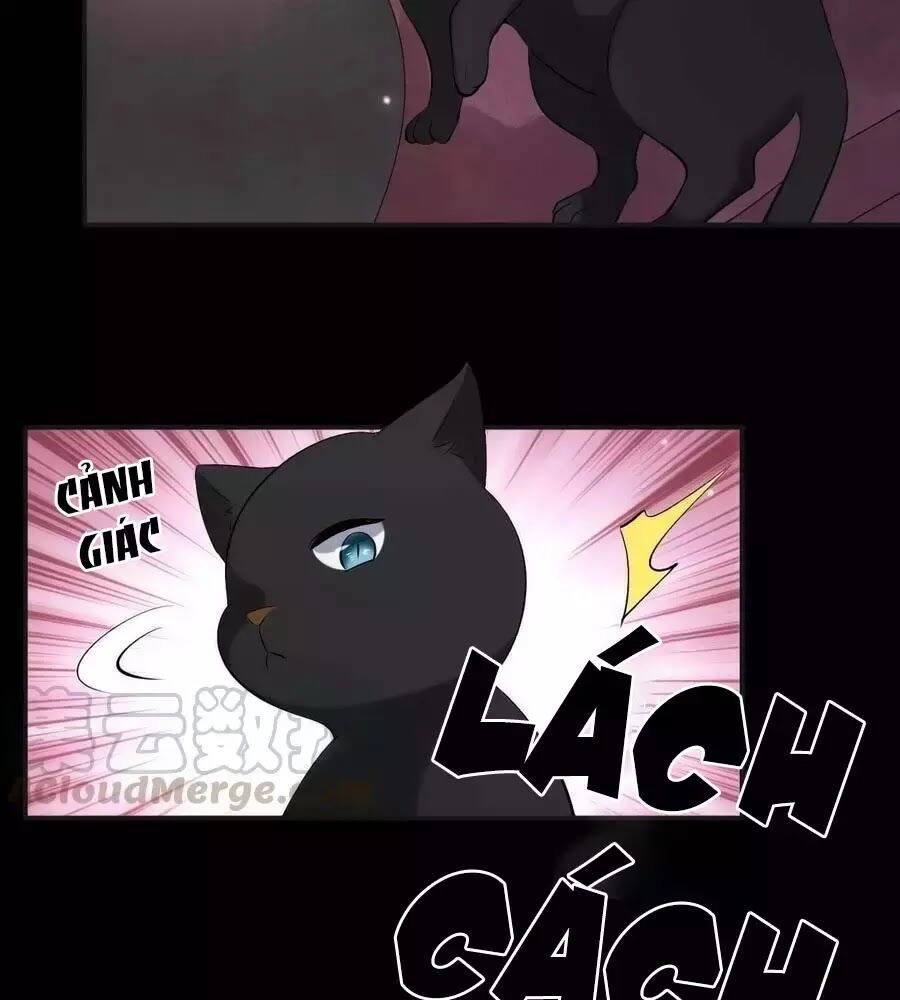 Tuyệt Thế Thần Y: Phúc Hắc Đại Tiểu Thư Chapter 63 - 35