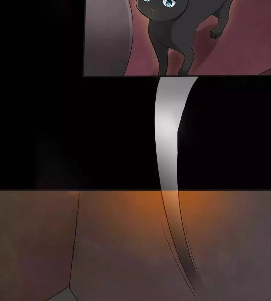 Tuyệt Thế Thần Y: Phúc Hắc Đại Tiểu Thư Chapter 63 - 48