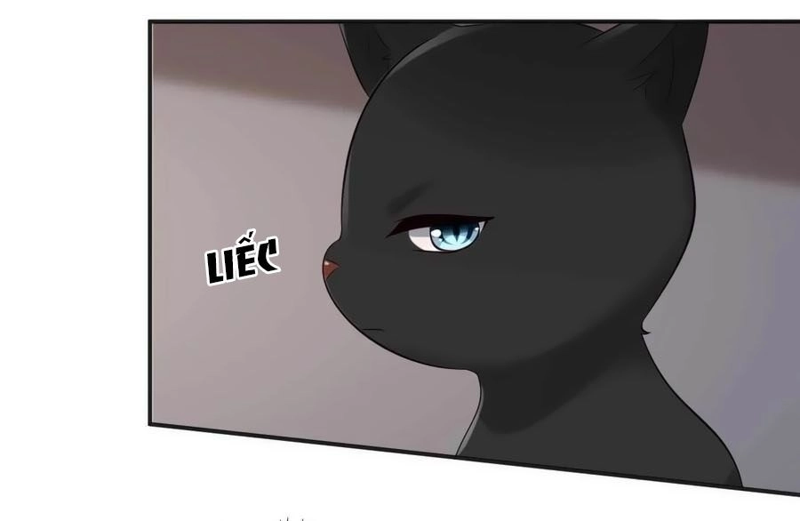 Tuyệt Thế Thần Y: Phúc Hắc Đại Tiểu Thư Chapter 73 - 6