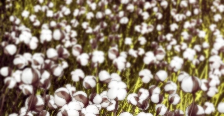 Đại Dương Kiêu Sa Chapter 67.2 - 41