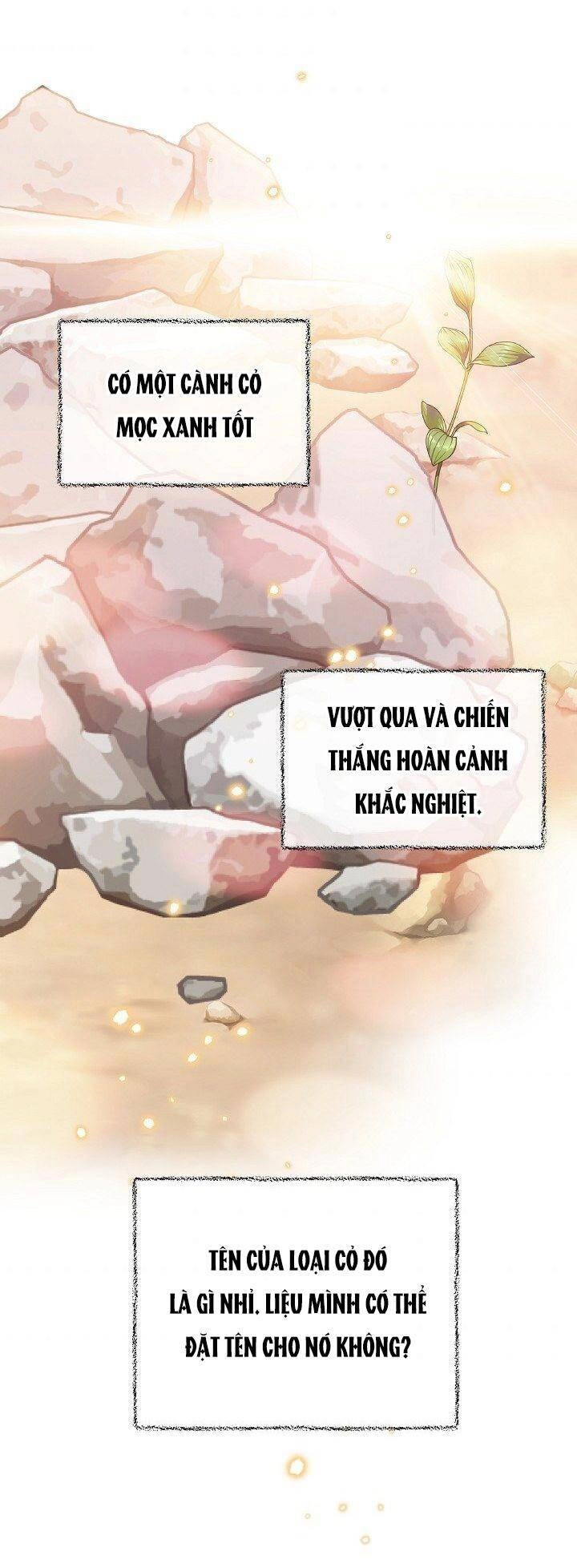 Đại Dương Kiêu Sa Chapter 38 - 46