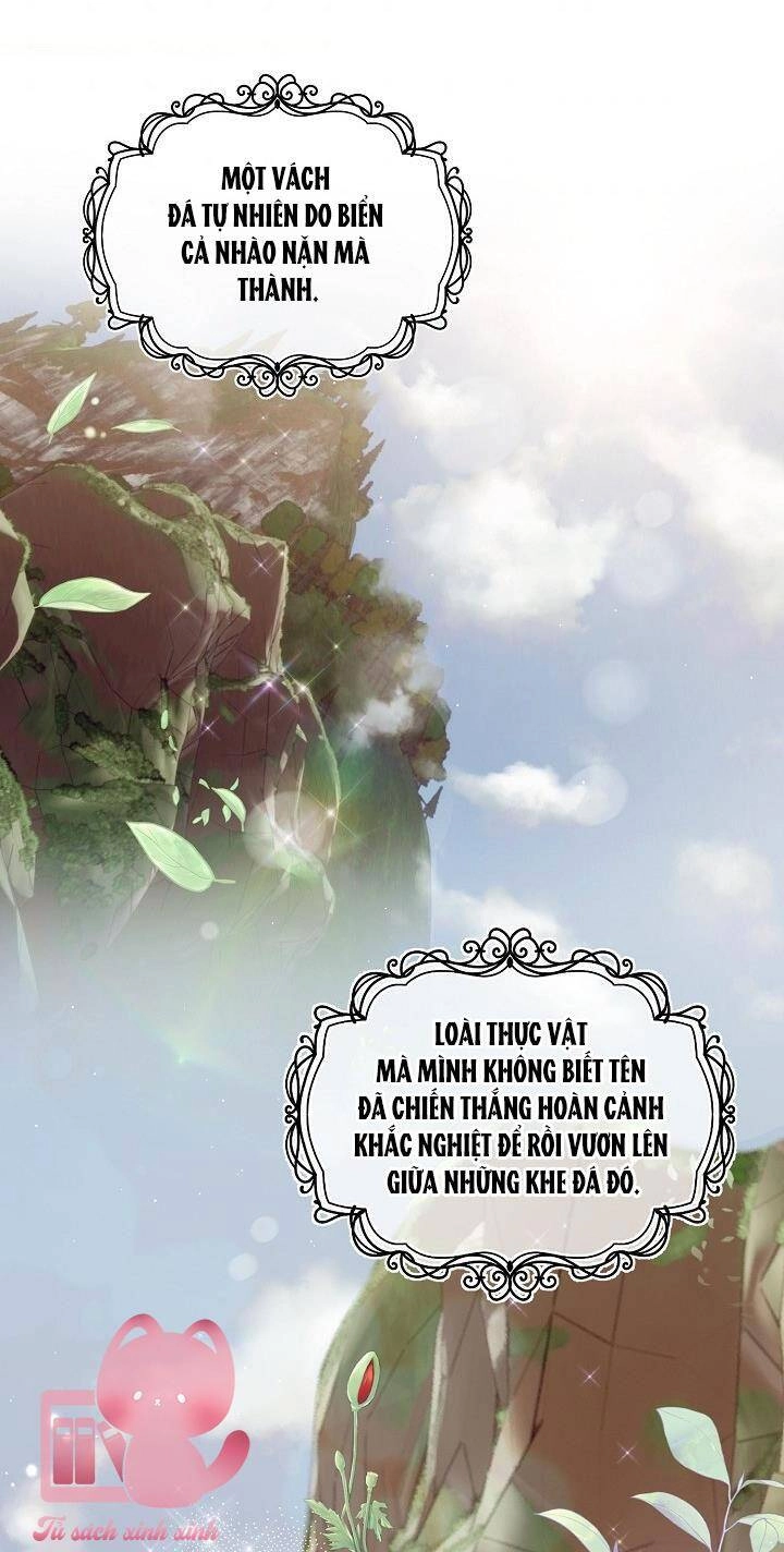 Đại Dương Kiêu Sa Chapter 46 - 67