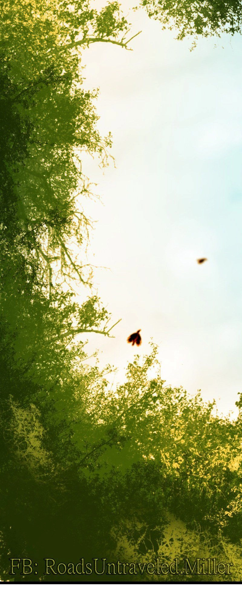 Huyết Đế Bạo Chúa Chapter 22 - 11