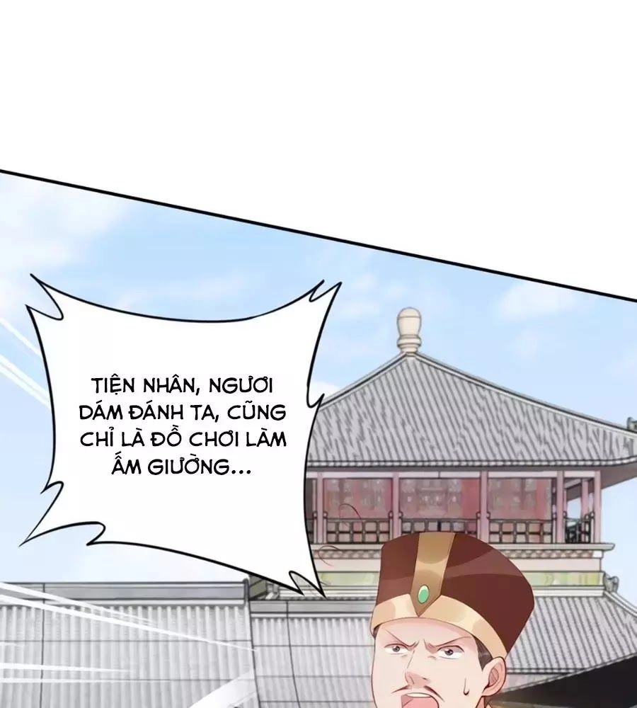 Đế Cung Đông Hoàng Phi Chapter 18 - 5