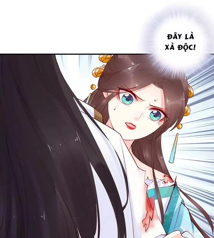 Đế Cung Đông Hoàng Phi Chapter 21 - 75