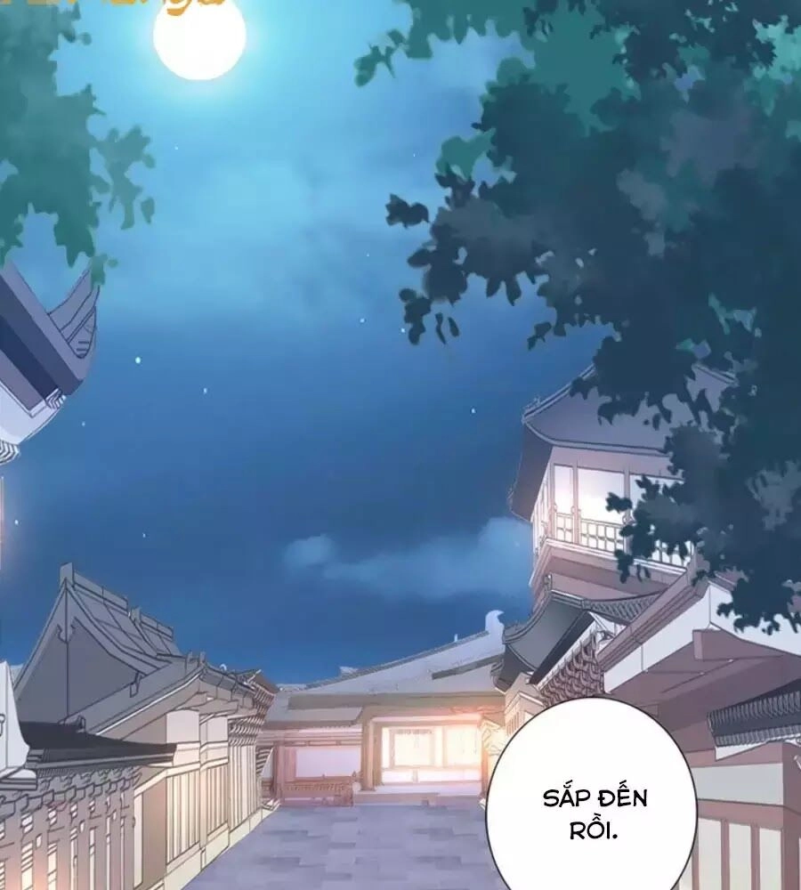 Đế Cung Đông Hoàng Phi Chapter 28 - 20