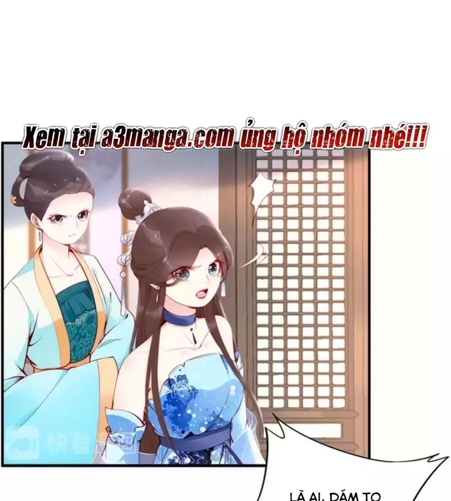 Đế Cung Đông Hoàng Phi Chapter 28 - 73