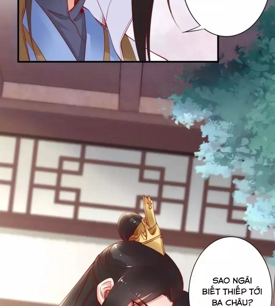 Đế Cung Đông Hoàng Phi Chapter 41 - 10