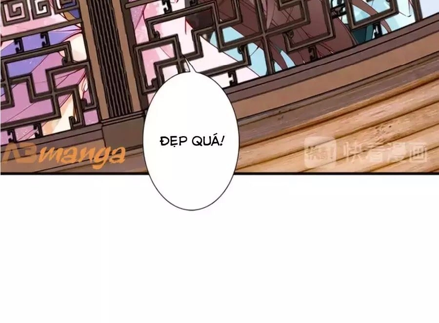 Đế Cung Đông Hoàng Phi Chapter 44 - 19