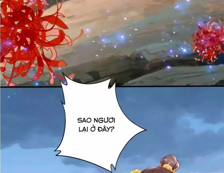 Đế Cung Đông Hoàng Phi Chapter 45 - 12