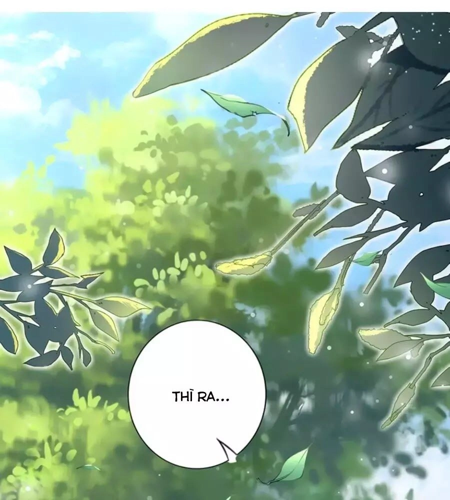 Đế Cung Đông Hoàng Phi Chapter 47 - 44