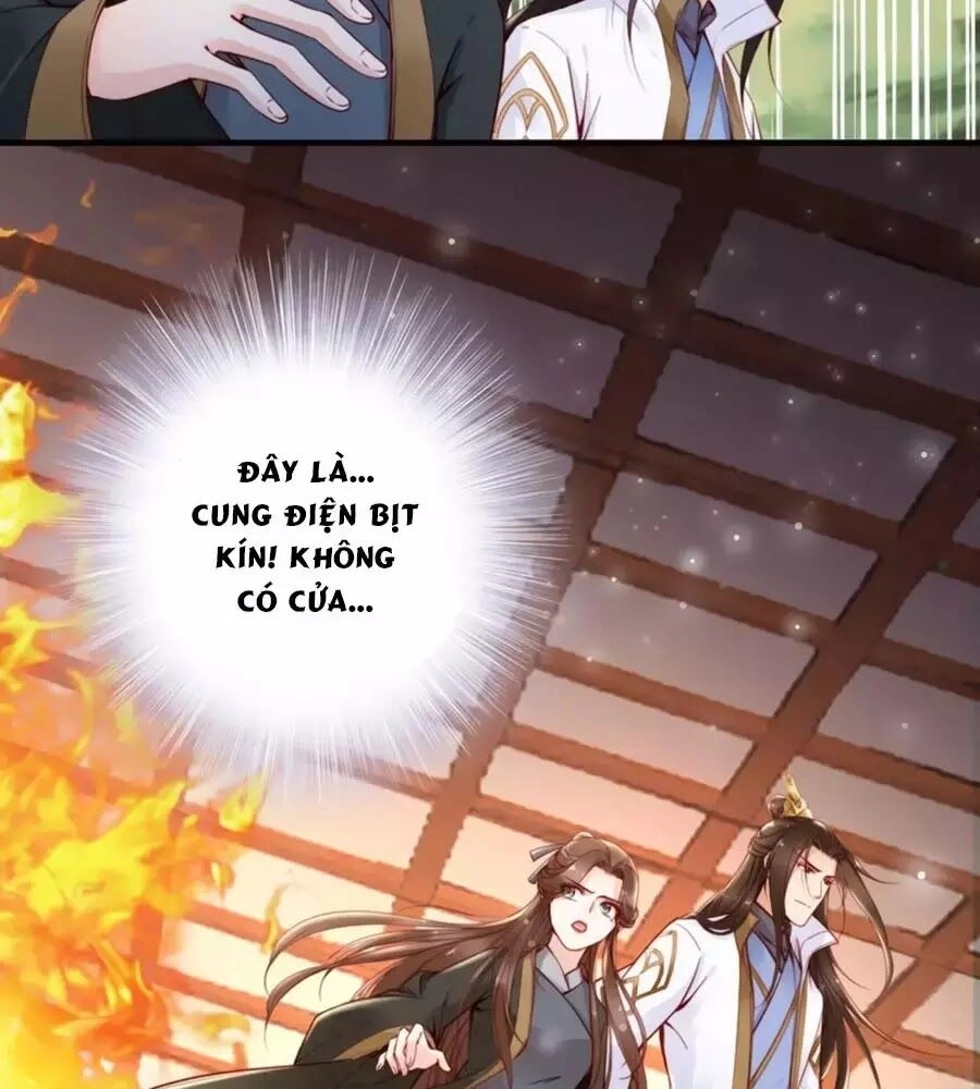 Đế Cung Đông Hoàng Phi Chapter 49 - 13